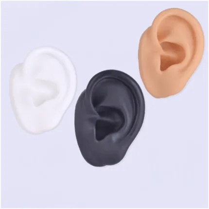 Molde Silicona Piercing Oreja Izq Práctica – Insumos para Piercing