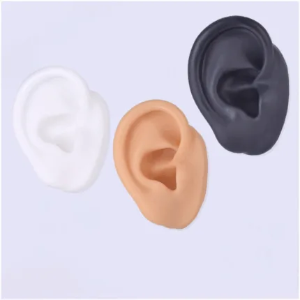 Molde Silicona Piercing Oreja Der Práctica – Insumos para Piercing