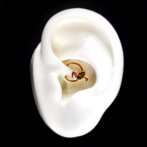 Aro Clicker Flamenco 8mm - Acero Quirúrgico – Piercing Colombia