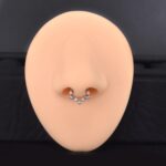 Aro Clicker Titanio G.I 8mm - Catherina – Piercing Colombia