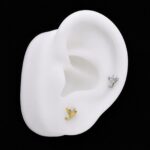 Hélix Salome (16G – 8mm) – Titanio G.I. – Piercing Colombia