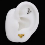 Hélix Phoenix (16G – 8mm) – Titanio G.I. – Piercing Colombia