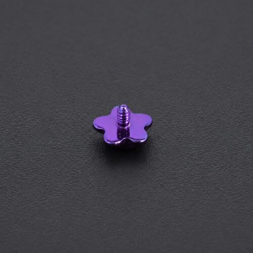 Hélix Flower Glass (16G – 8mm) – Titanio G.I. – Piercing Colombia