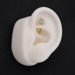 Banana Rook Star Glass (16G – 8mm) – Titanio G.I. – Piercing Colombia