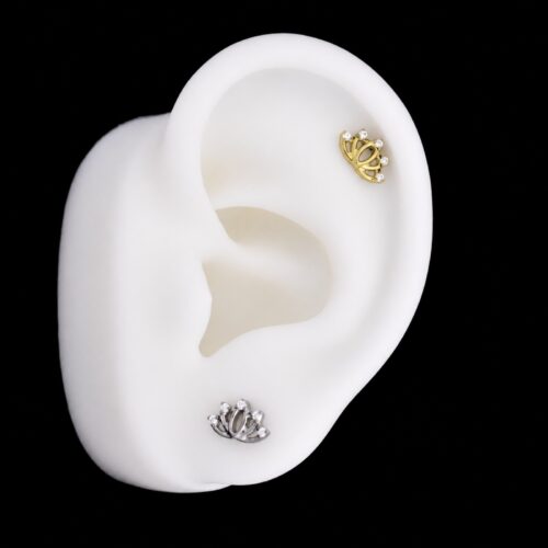 Hélix Loto (16G – 8mm) – Titanio G.I. – Piercing Colombia