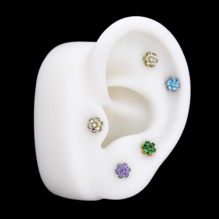 Labrets Dalhia de flor de colores puestos en tragus, hélix y lóbulo de una oreja de maqueta