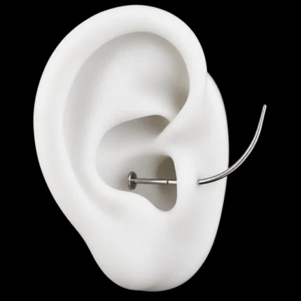 Tapper curvo 16G enroscado a un labret dentro de la oreja de maqueta